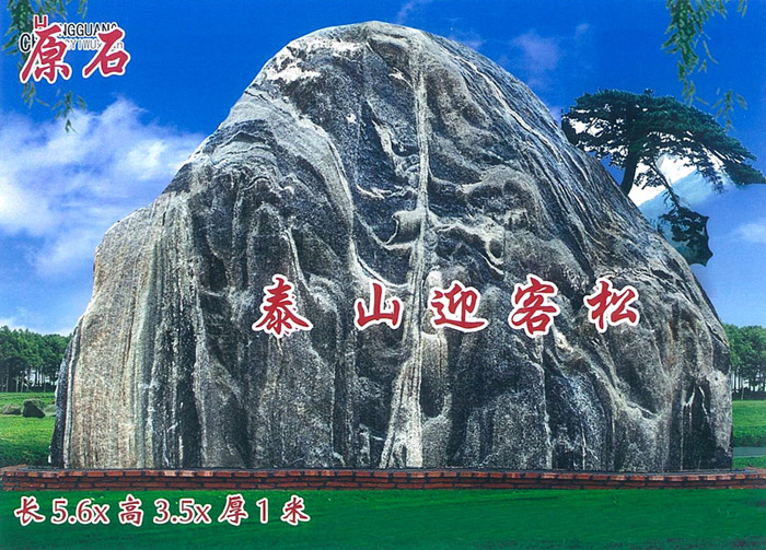 泰山迎客松（原石）